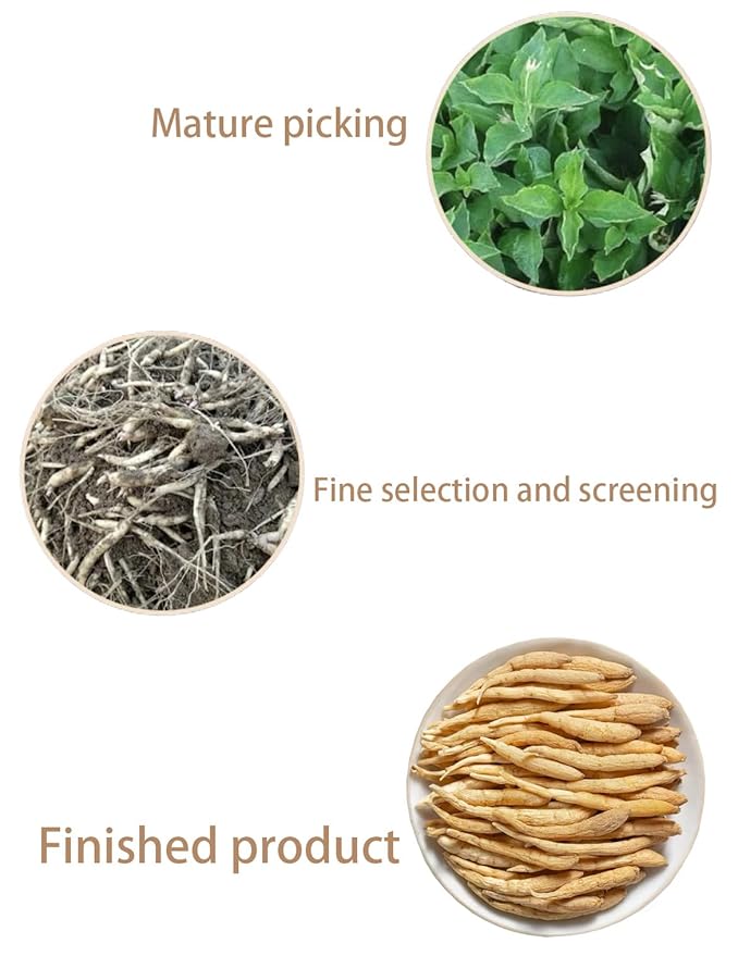 Radix Pseudostellariae-Pure and Natural Herbal Tea -Chinese herbal medicine- 太子参3.53oz/100g (Radix Pseudostellariae)