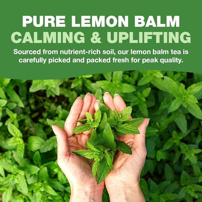 HANDPICK Lemon Balm Tea Bags – 100 Count | 100% Pure & Naturally Dried | Caffeine-Free Herbal Tea with Citrus Flavor & Aroma | Premium Lemon Balm Leaf