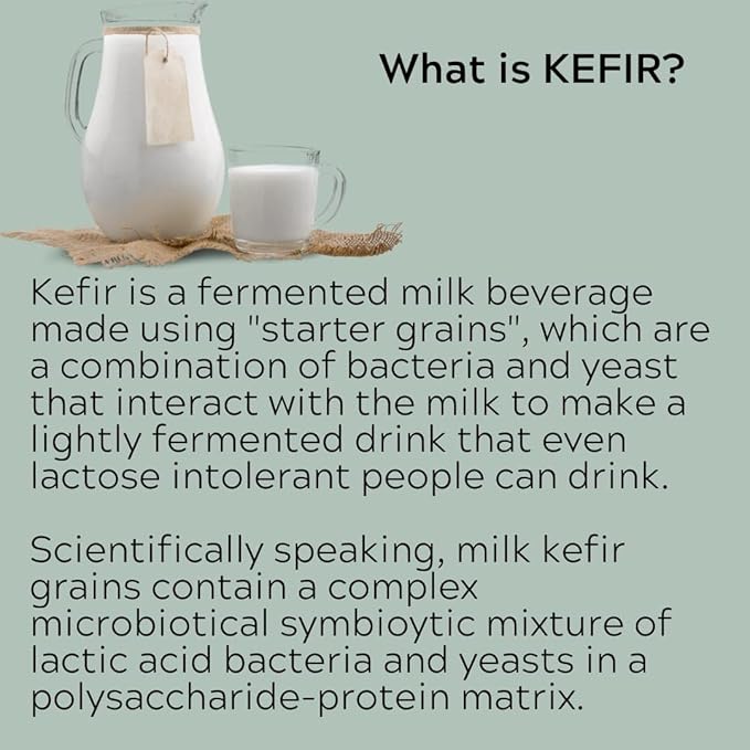 Original Live Milk Kefir Grains Starter Kit for Almond, Whole or Coconut Milk with Active Probiotic Cultures, Jar, Fermentation Lid, Spoon, Thermometer & Strainer by The Spirit Of The Forest