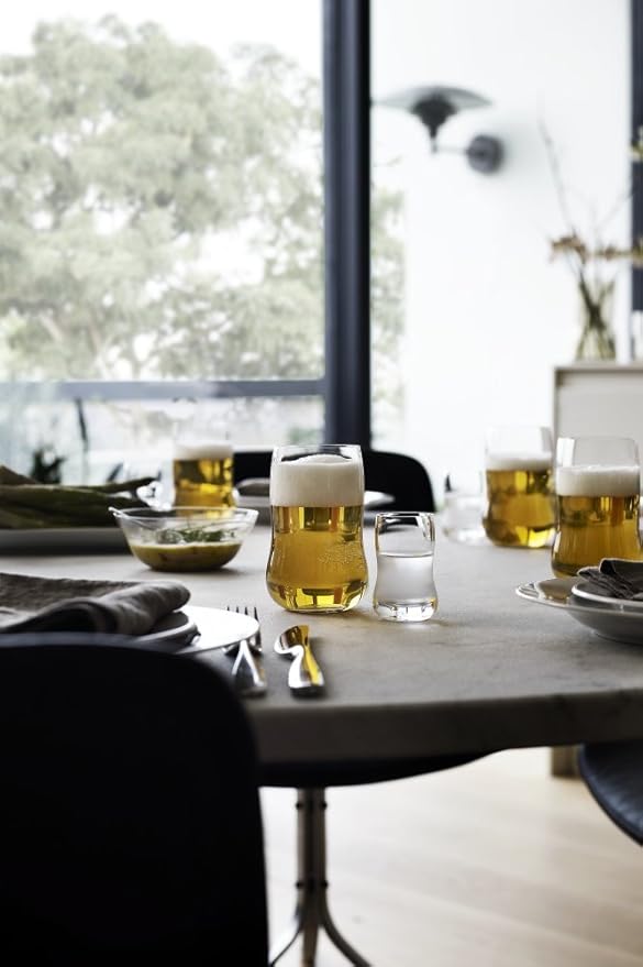 Holmegaard Future Tumbler, Clear, 4.7"H x 3.1"D, 12.5 oz, Set of 4, Designed by Peter Svarrer, Gift Box Included