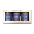 Cloister Honey Trios - Citrus (3 x 3 oz) | Hand Crafted | Raw Artisan Honey | 100% Pure, Raw & Unfiltered | All Natural | Made in USA |