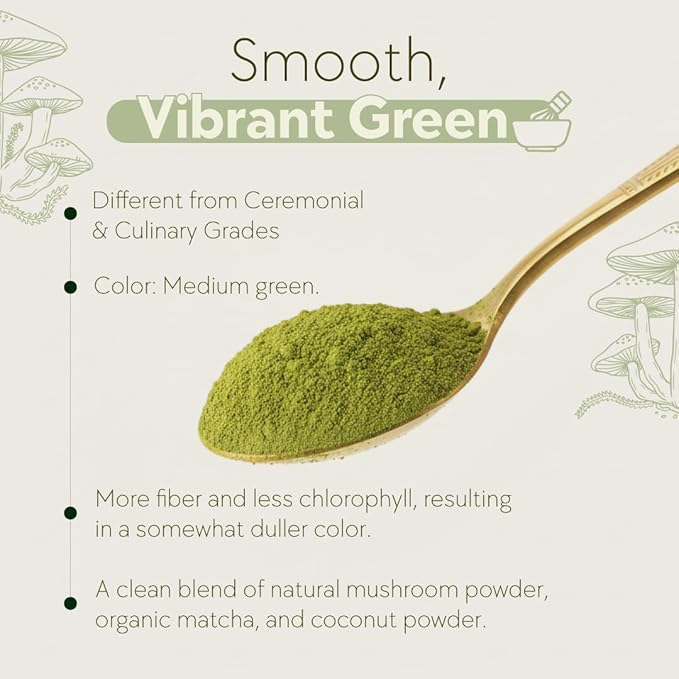 Mushmatcha Mushroom Matcha Latte Powder - Ceremonial Grade Organic Matcha Green Tea with Adaptogenic Mushrooms - Vegan Superfood Drink for Focus & Natural Energy - No Additives, 100% Natural - 100g
