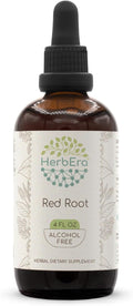 HerbEra Red Root B120 Alcohol-Free Herbal Extract Tincture, Super-Concentrated (New Jersey Tea, Ceanothus Americanus) 4 fl oz