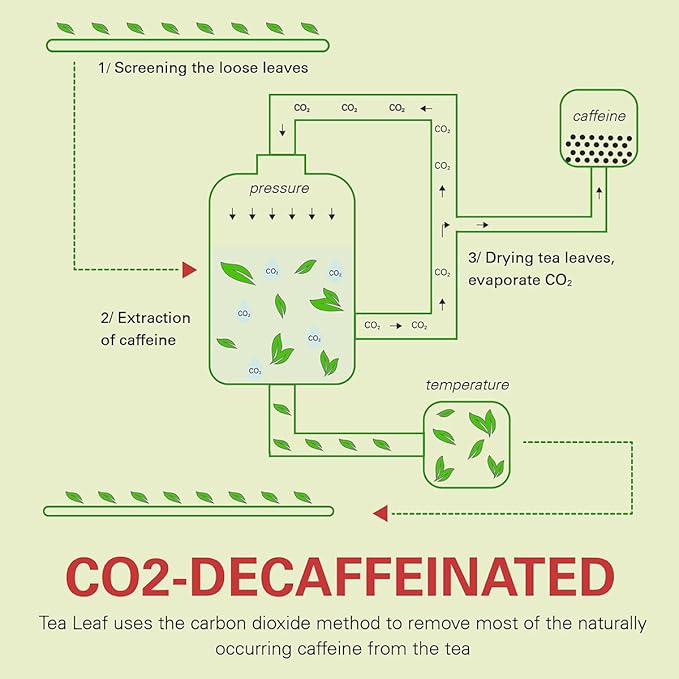 WT WEETEE Decaf Ginger Peach Black Tea Bags 50 Counts, Made of Decaffeinated Black Tea, Ginger & Natural Peach Flavor, Flavored Fruit Tea Bags