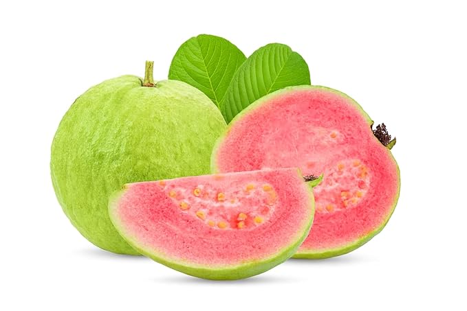 Pink Guava Tee 12-15 In