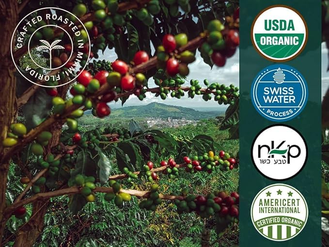 Artizan Coffee USDA Organic Ground Coffee | Cuba Mia Decaf Blend | Dark Roast | Medium Grind for Drip | 10 oz | Roasted in South Florida