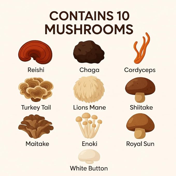 BRYT Mushroom Coffee – Mushroom Coffee Blend with 10 Mushrooms + Collagen – Organic Instant Coffee Mix for Balanced Energy, Focus & Wellness – Low Caffeine, Sugar-Free, Dairy-Free, 30 Servings