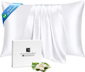 Ravmix Silk Pillow Cases with Zipper, 21momme Mulberry Silk Pillowcase for Hair Skin Health, Soft Smooth Breathable Cool Pillow Cover for Beauty Sleep with Gift Box 1PC(Queen 20"x30", Pure White)