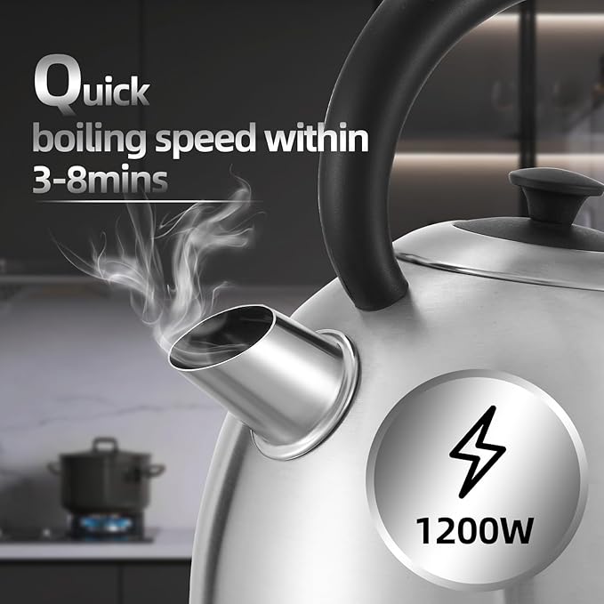 1.7L Electric Kettle, Cute Water Boiler with Thermometer & Auto Shut-Off, 1200W Fast Boiling Kettle for Home Kitchen Office, BPA-Free, Boil-Dry Protection (Stainless Steel Sanding)