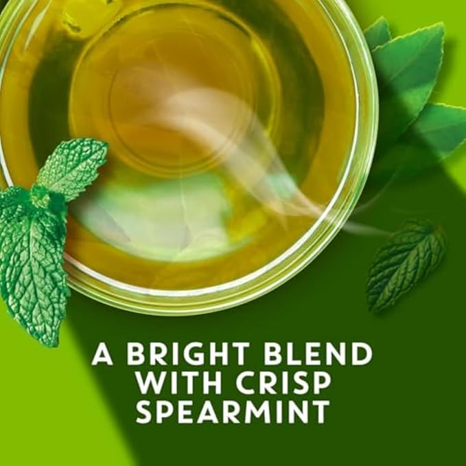 TAZO Tea Bags, Regenerative Organic: Refresh Mint Herbal Tea, & Zen Green Tea 16 CT (1ea) (Variety Pack)