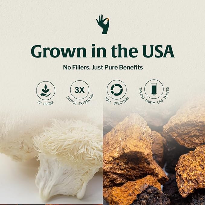Artizan Organic Lion’s Mane & Chaga Mushroom Coffee Pods for Nespresso Original Line | Cognitive Clarity + Immune Power | 10 Compostable Espresso Capsules