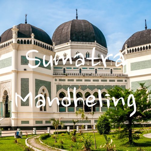 Sumatra Mandheling Coffee Beans, USDA Organic, Medium Roast, Ground, Fresh Roasted, 5 lbs