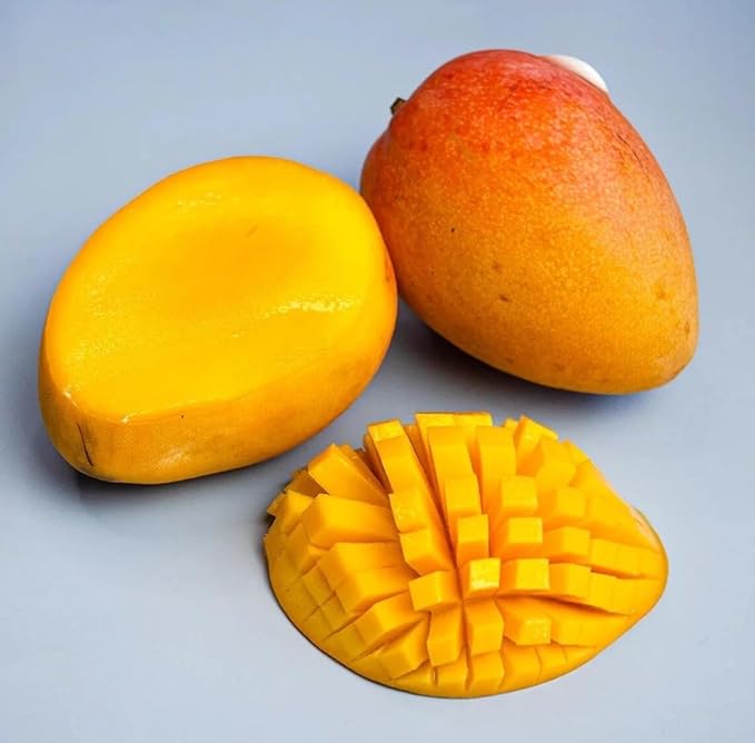 Mango E Tropical Tee 12-24 in