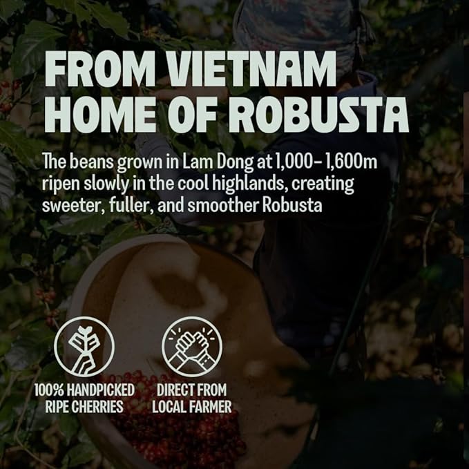 BAZAN COFFEE Vietnamese Strong Coffee, Premium Robusta & Arabica Ground, Full-Bodied Dark Roast, Smooth & Low Acidity, Ideal for Milk Drinks & Home Baristas, Bold Espresso Flavor, 12oz Bag, Overnight Blend