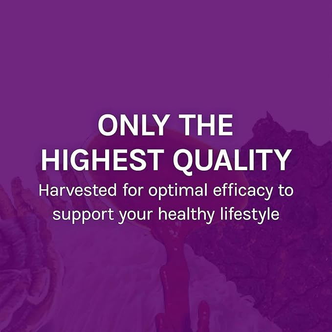 Host Defense MyCommunity Extract - 17 Species Blend Mushroom Supplement for Immune Support - Extract with Lion's Mane, Reishi. Chaga, Cordyceps, Turkey Tail & More - 4 fl oz (120 Servings)*