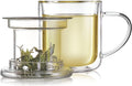 Teabloom Heatproof and Insulated Borosilicate Glass Tea Cup with Infuser for Whole-Leaf Loose Tea – Tea Purist's Choice – Wellbeing Double-Walled Infusion Mug with Lid (8 oz)
