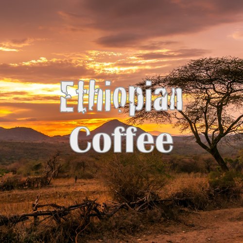 Coffee Lover Gift Box, Whole Bean, Fresh Roasted, 4 X 16-ounces, Costa Rica Original, Guatemala, Ethiopian, Colombian Supremo