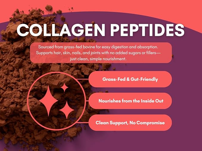 Mindful Nutrition Keto Protein Cocoa Mix with Collagen Peptides Powder & Organic MCT Oil Friendly Paleo Sugar Free Chocolate Non Dairy Hot Chocolate, 10.16 Ounce