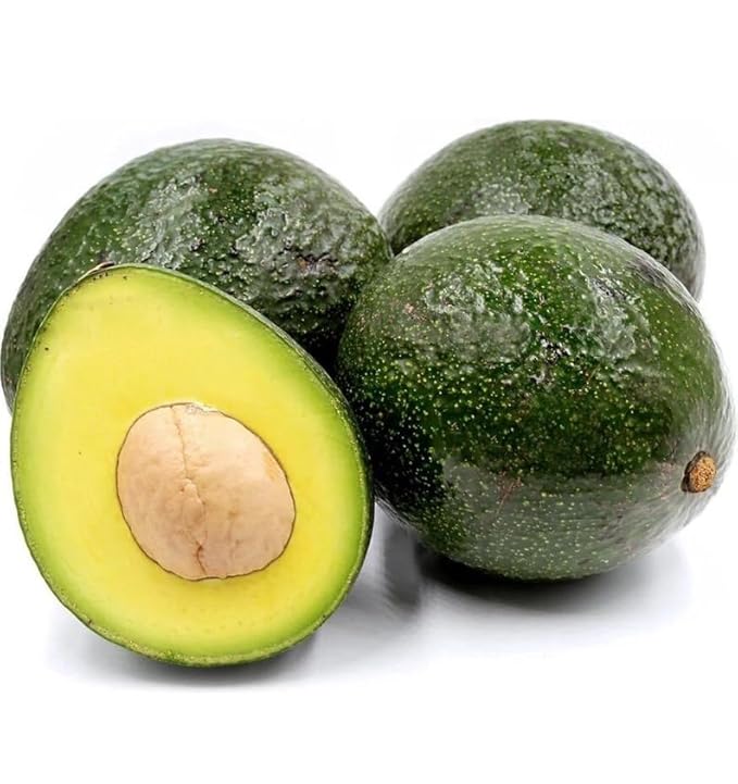 Avocado R Tee 10-24 in