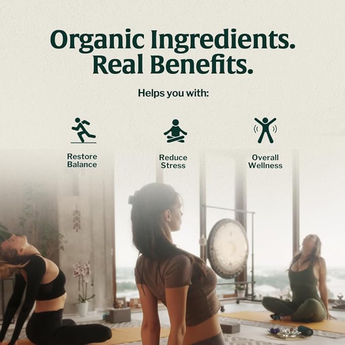 Artizan Organic 14-Mushroom Blend Coffee Pods for Nespresso Original Line | Total Wellness + Adaptogenic Power | 10 Compostable Espresso Capsules