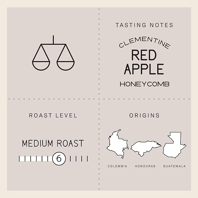 Verve Coffee Roasters Craft Instant Coffee Streetlevel Blend | French Medium Roast, Ground, Hand-Roasted | Enjoy Hot or Cold | Up to 6 Servings