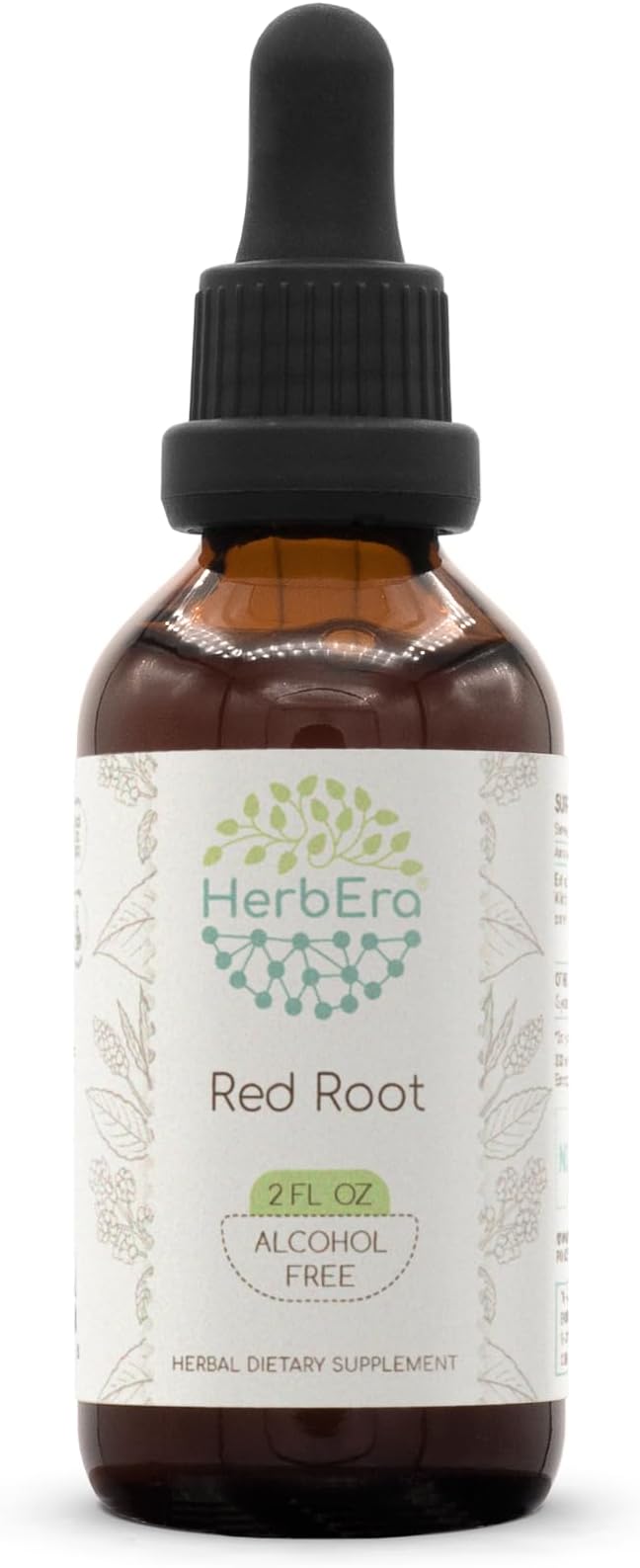 HerbEra Red Root B60 Alcohol-Free Herbal Extract Tincture, Super-Concentrated (New Jersey Tea, Ceanothus Americanus) 2 fl oz