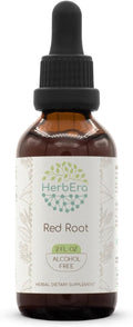 HerbEra Red Root B60 Alcohol-Free Herbal Extract Tincture, Super-Concentrated (New Jersey Tea, Ceanothus Americanus) 2 fl oz