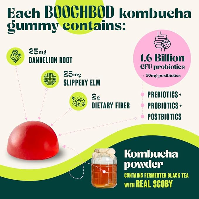 Probiotic Kombucha Gummy - Prebiotics, Probiotics, Postbiotics, Fiber Supplement, Slippery Elm, Dandelion Root, MCT Oil, for Bloating, Gut Health - Probiotics for Women and Men