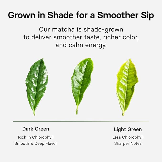 OSULLOC Volcanic Isle Matcha Powder, Ceremonial Grade Korean Matcha for lattes, Christmas gift idea, Green tea powder from Jeju island (1.41oz, 40g)