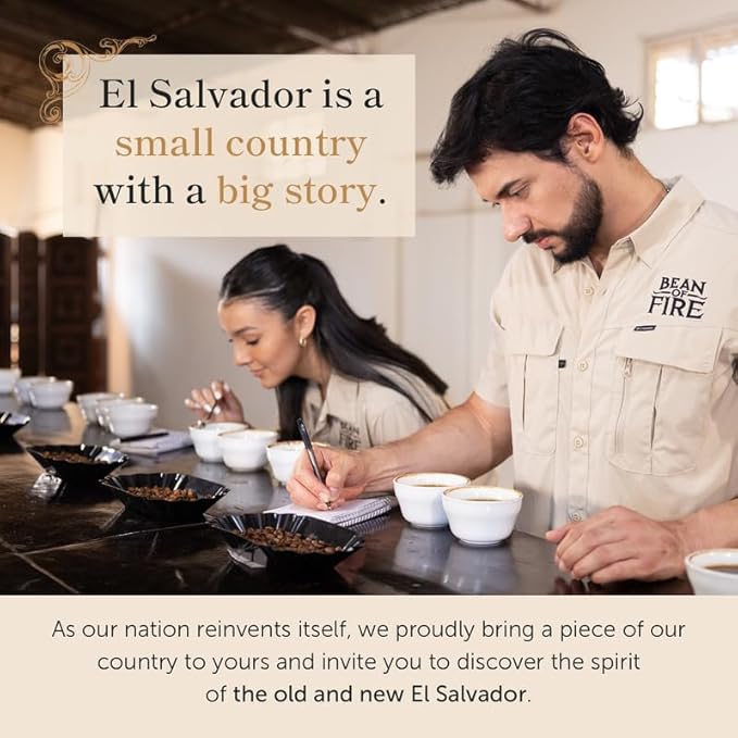 Bean of Fire El Salvador Pacamara Honey Ground Coffee – Medium Roast, Single Origin Specialty, Creamy & Nutty Cup (16 oz)