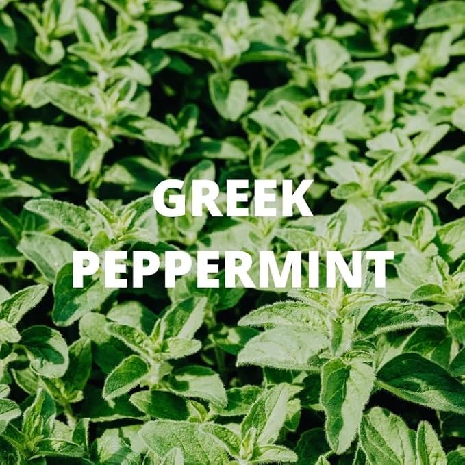 Digestion Tea | Loose Herbal Tea | Dittany of Crete, Peppermint, Rosemary | 100% Wild Crafted, Caffeine Free, Natural, Earthy Flavor | 30G (1.1OZ)