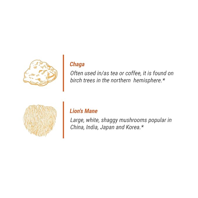 Mushroom + Coffee, Javita Immune & Defend Blend of Chaga, Lion's Mane and Dark Roast Robusta Coffee for Morning Boost, Wellness Support, Smooth, Convenient Coffee Mix (4 box/96 serv)