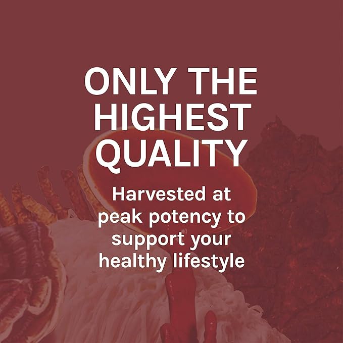 Host Defense Reishi Extract - Heart & Immune Health Support Supplement - Mushroom Supplement to Support Energy & Vitality - Reishi Supplement to Aid Overall Well-Being - 2 fl oz (60 Servings)*