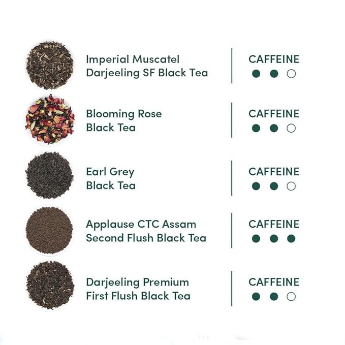 VAHDAM, Assorted Black Tea Loose Leaf Tea Gift Set (10 Flavors) Gift Ideas for Women & Men | Directly Sourced From Assam and Darjeeling | Resealable Ziplock Pouch | Christmas Tea Gift Set