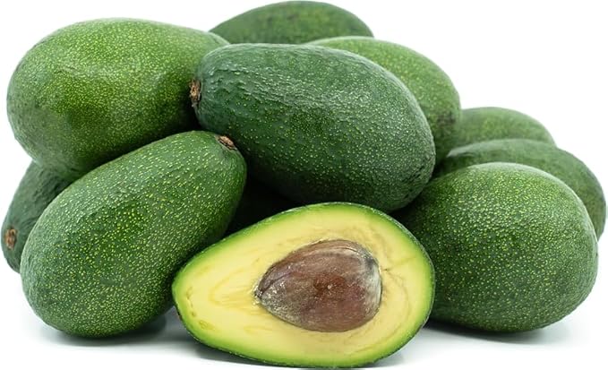 Avocado F Tee 10-24 in