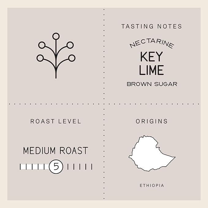 Verve Coffee Roasters Craft Instant Coffee Aster Blend | Medium Roast, Ground, Hand-Roasted | Ethiopian Blend | Enjoy Hot or Cold | Up to 6 Servings