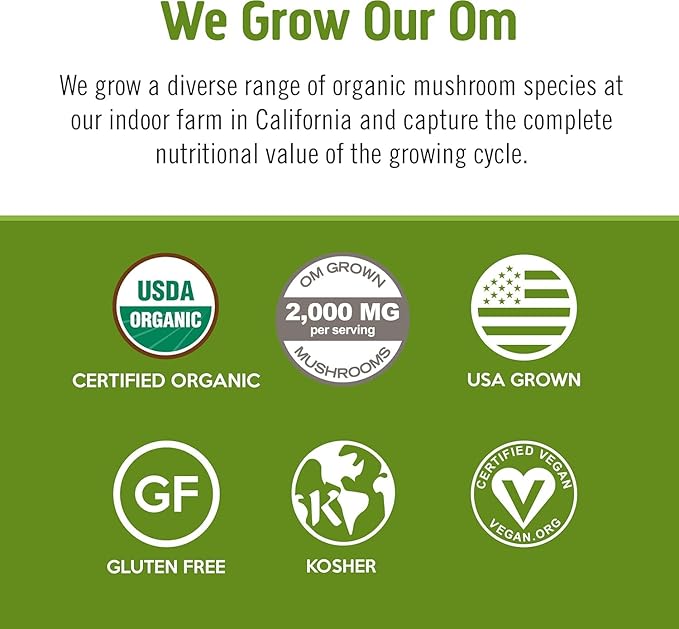 OM MUSHROOM SUPERFOOD Matcha Latte Blend – Green Tea Mushroom Powder with Lion’s Mane, Reishi, Chaga & Turkey Tail – Focus, Calm & Stress Support – Single Serve Packets (10 Count)