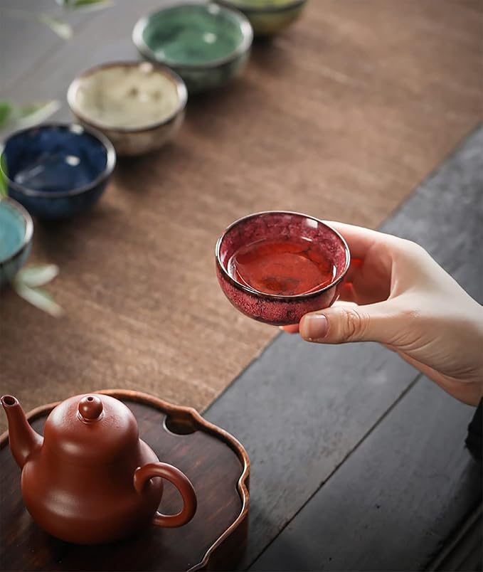 Ceramic Chinese Kung Fu Tea Set, Japanese Style Tea Cup, Yerba Mate Tea Set, 5pcs Ceramic Mate Cup Set, Tea Cup