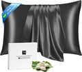 Ravmix Silk Pillow Cases with Zipper, 21momme Mulberry Silk Pillowcase for Hair Skin Health, Soft Smooth Breathable Cool Pillow Cover for Beauty Sleep with Gift Box 1PC(Standard 20"x26", Black)