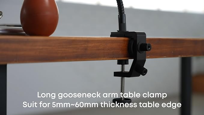HWATANG OHBIG x MADWORKS Desk Clamp Kit – Metal Gooseneck Arm, Dual 720° Ball Head, 1/4-Inch Screw Mount for Magnifying Glass, LED Light, Action Camera, Phone Holder, Workbench Use