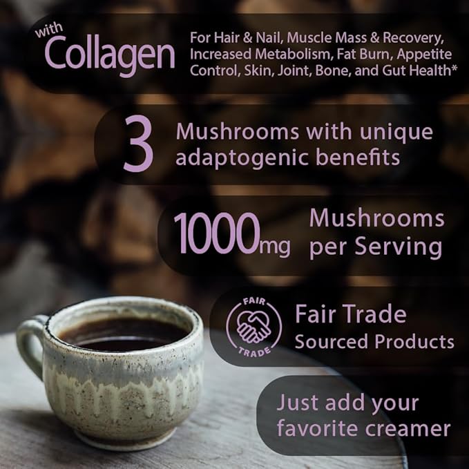 Focus Boost Organic Mushroom Instant Coffee - 135g, 15 Servings Pouch - Healthy Coffee alternative and Substitute - With Dynamine, Collagen, Lions Mane and Antioxidants