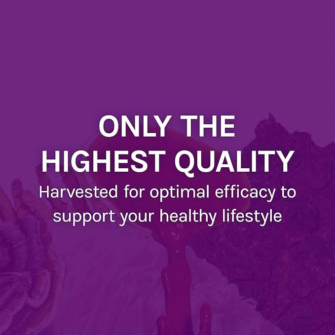 Host Defense MyCommunity Extract - 17 Species Blend Mushroom Supplement for Immune Support - Extract with Lion's Mane, Reishi, Chaga, Cordyceps, Turkey Tail & More - 2 fl oz (60 Servings)*