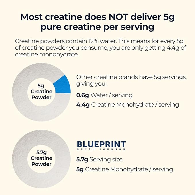 Blueprint Bryan Johnson Creatine Monohydrate Powder – Amino Acid Powder - Supplement Supports Muscle Growth, Recovery, Strength & Focus – Unflavored Creatine for Women & Men – 5g Dose – 100 Servings
