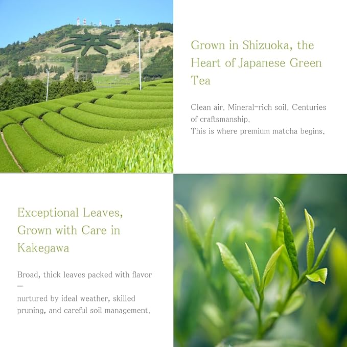 SALBEL Matcha Powder – Japanese Organic Ceremonial Grade, 2g × 30 Individual Packets (2.11 oz)