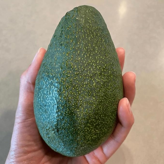Avocado F Tee 10-24 in