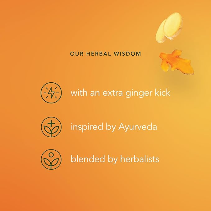 Pukka Three Ginger Organic Herbal Tea, Digestion-Aiding Infusion With Ginger, Turmeric, and Galangal, Tea Gift Set Ideal After Meals, Caffeine Free, 80 Total Bags (20ct - Pack of 4)