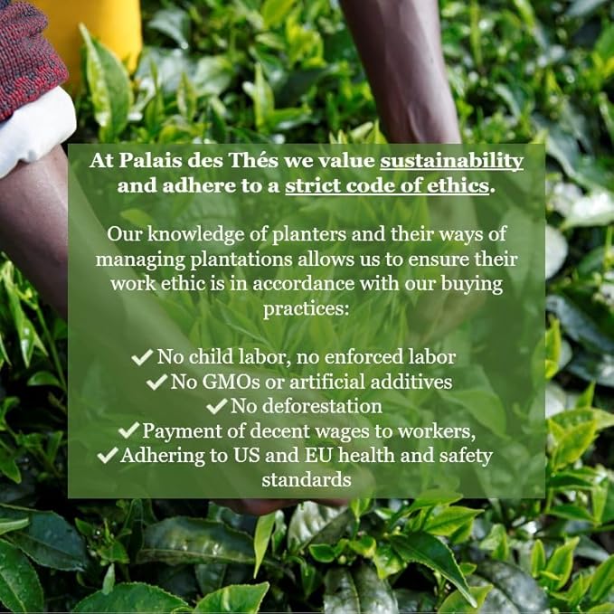 Palais des Thés Green Tea - Organic Grand Yunnan Imperial Blend - Premium Chinese Green Tea Bags, Serves 20 Cups