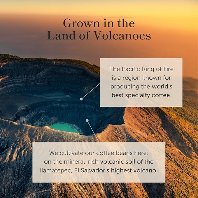 Bean of Fire El Salvador Gesha Natural Ground Coffee – Medium Roast, Single Origin Specialty, Chocolate & Lemon Cup (16 oz)
