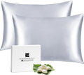 Silk Pillow Cases 2 Pack for Hair and Skin with Hidden Zipper, Ravmix Mulberry Silk Pillowcases Standard Size 20×26inches Set of 2 Silk Cooling Pillow Cases, Silver Grey