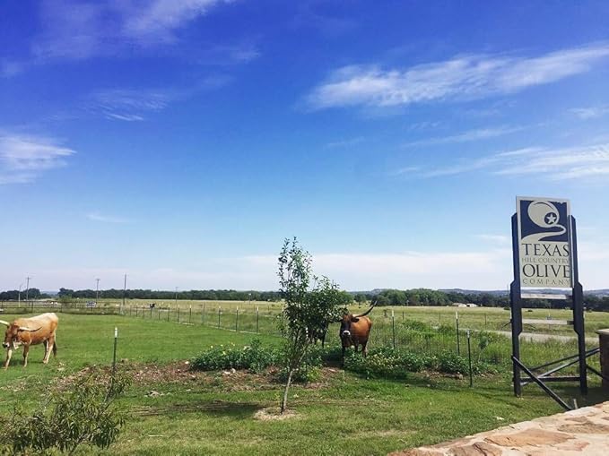 White Lemon Balsamic Vinegar - Gourmet Barrel Aged Infused Balsamic Vinegar - Great for Dressing Dipping Glazing - No Artificial Flavors or Added Sugar - Made in Texas (8.5 oz)